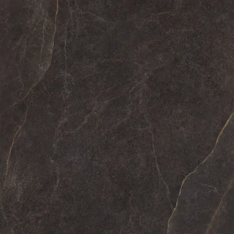 RIVIERE CACAO 120x120 (плитка для підлоги і стін)