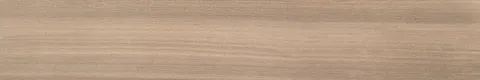 EUKALYPT MIEL 20x120 (плитка для підлоги і стін)