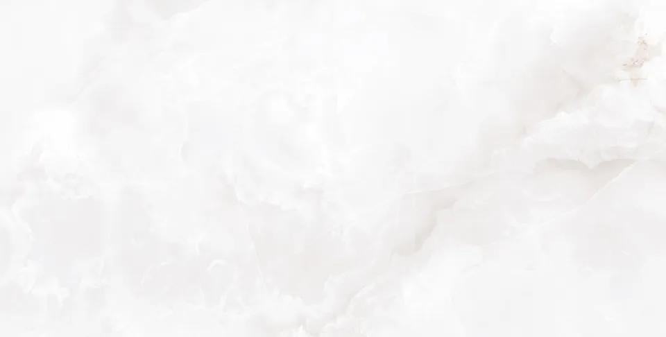 ONYX MONT BLANCO SILK L 60х120 (плитка для підлоги і стін) — фото 2