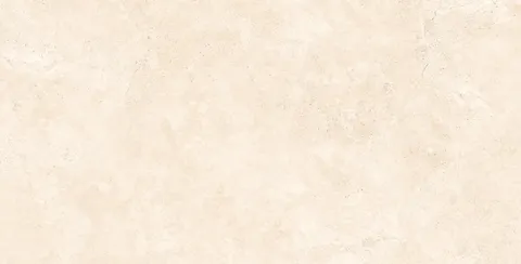 RAPOLANO NATURAL MATT 60х120 (плитка для підлоги і стін)