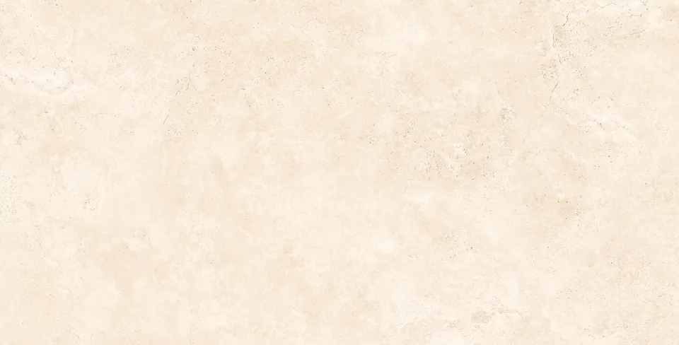 RAPOLANO NATURAL MATT 60х120 (плитка для підлоги і стін)