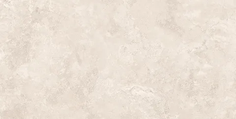 RAPOLANO SILVER MATT 60х120 (плитка для підлоги і стін)